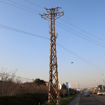 เสาสายส่งไฟฟ้า 220kv มุมสังกะสี, เสาไฟฟ้าแรงสูง 10 เมตร